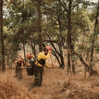Activan alerta atmosférica en Mazamitla y municipios aledaños por incendio forestal
