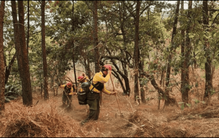 Hasta minutos antes de las 21:00 horas, el incendio era atendido por 173 bomberas y bomberos forestales. X/@ReporteForestal