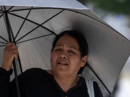 El aumento en la temperatura trae consigo varias afectaciones, entre ellas la llamada alergia al calor. EFE / ARCHIVO