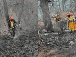 Este siniestro inició desde el jueves pasado alrededor de las 12:00 horas. ESPECIAL.