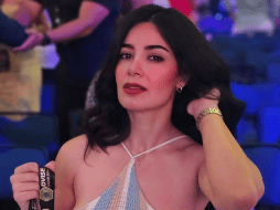 Ella es la mujer que se robó el corazón del famoso cantante mexicano y que ahora está en el ojo público. INSTAGRAM/@ale_galveza