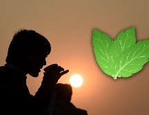 Puedes tener la certeza de que la abuela no se equivoca si te recomienda un té para aliviar algún malestar. AFP / ARCHIVO