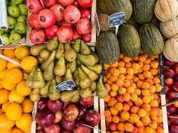 ESPECIAL/ Foto de Jakub Kapusnak en Unsplash