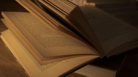 Aurora Camacho, a través de su libro, analiza cómo la ideología se refleja en los diccionarios de español en cada época. ESPECIAL/Foto de Thorsten Frenzel en Pixabay