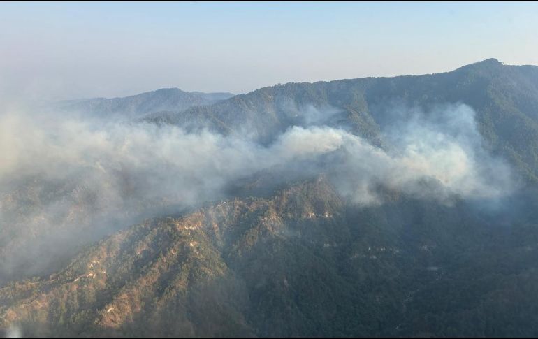 Se reportan dos incendios forestales dentro del estado. ESPECIAL/ Semadet