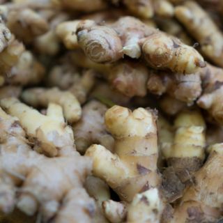 Esta raíz puede ayudarte a reducir las náuseas