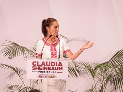 Por otra parte, señaló que se reforzará la eficiencia y control de las aduanas para una mejor recaudación y a su vez, un mejor manejo  de las mercancías. EL INFORMADOR / H. FIGUEROA