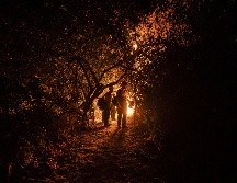 Canadá atraviesa una seria crisis de incendios forestales. EFE/ARCHIVO