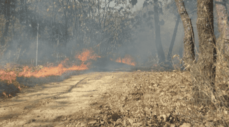 El Gobierno del Estado informó que en el incendio involucró a ambos municipios Tlajomulco y Zapopan. X/@ReporteForestal