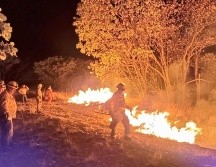 El incendio no generó afectaciones a viviendas cercanas. ESPECIAL/ Protección Civil