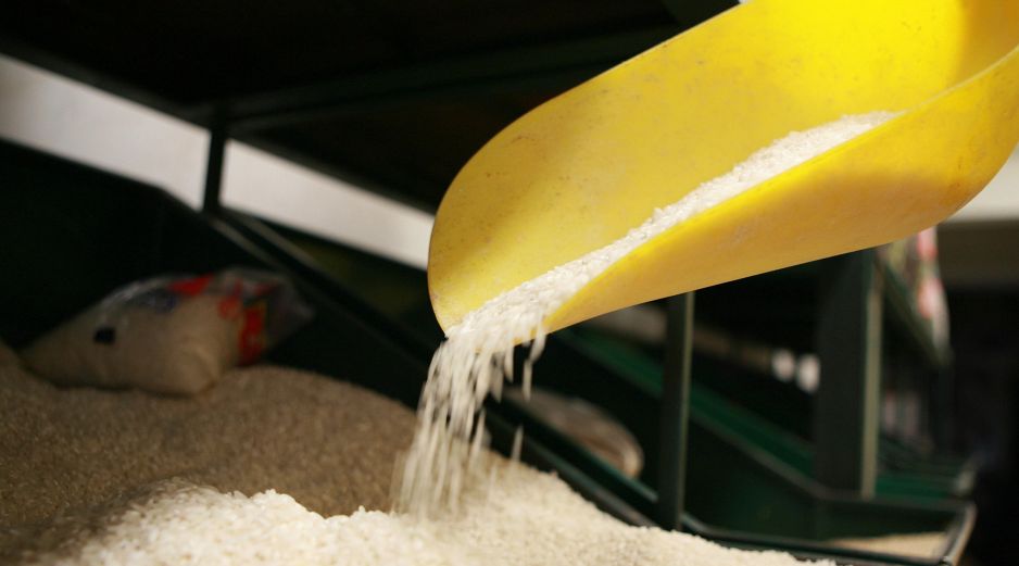 El genmaicha se prepara tostando granos de arroz integral o blanco hasta que adquieren un color dorado y luego infusionándolos en agua caliente. EL INFORMADOR / ARCHIVO