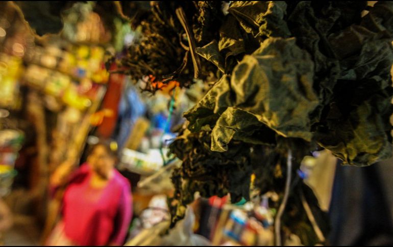 Entre los componentes de esta planta destaca que contiene boldina que posee efectos antioxidantes que actúan positivamente en el funcionamiento del hígado y la vesícula biliar. EL INFORMADOR / ARCHIVO