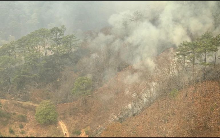 Los brigadistas también reciben apoyo aéreo del helicóptero Witari de la Semadet. ESPECIAL