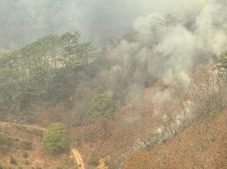 Los brigadistas también reciben apoyo aéreo del helicóptero Witari de la Semadet. ESPECIAL