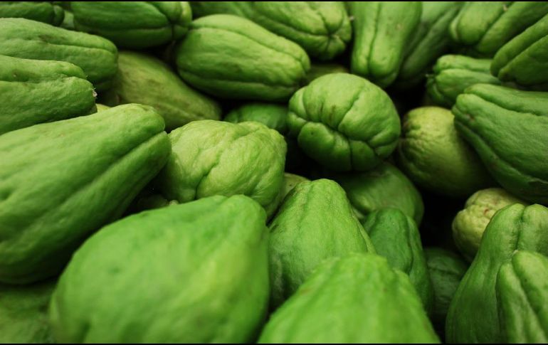 Hay más de 10 variedades de chayote en México. Pixabay