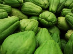 Hay más de 10 variedades de chayote en México. Pixabay