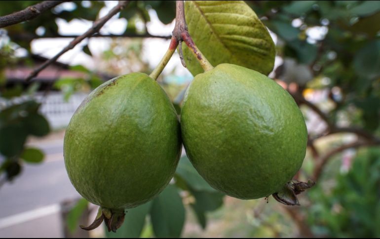 Esta fruta tropical se distingue por su riqueza en nutrientes esenciales. Unpslash.