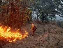 Para atenderlo, se requirió de la participación de hasta 261 brigadistas de diversas corporaciones. ESPECIAL / SEMADET
