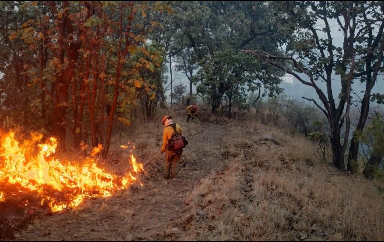 Para atenderlo, se requirió de la participación de hasta 261 brigadistas de diversas corporaciones. ESPECIAL / SEMADET