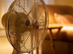 Este artículo es ideal para esta temporada de calor. UNSPLASH / D. VAN