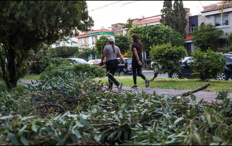 El ejercicio regular y el esfuerzo aeróbico pueden tener un impacto en la salud y la longevidad. EL INFORMADOR / ARCHIVO
