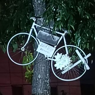 Muere ciclista arrollada en Bugambilias; es la segunda víctima de la semana