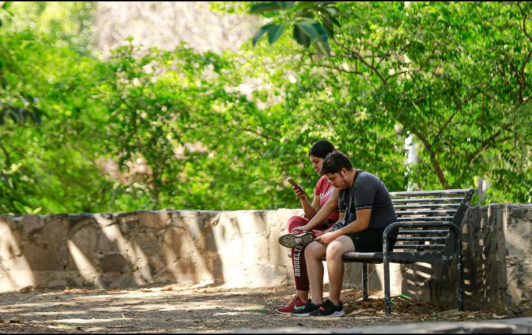 La conexión a internet aumentó en este año. EL INFORMADOR/ARCHIVO