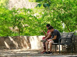 La conexión a internet aumentó en este año. EL INFORMADOR/ARCHIVO