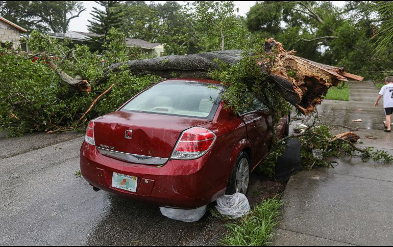 Todo tipo de accidentes está respaldado por el seguro adecuado para ti. UNSPLASH/Mick Haupt