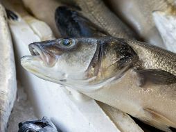 Sumar pescado en nuestra dieta es imprescindible para cuidar y fortalecer el corazón. ESPECIAL / Foto de engin akyurt en Unsplash