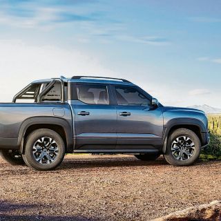 Tiburón chino en aguas mexicanas