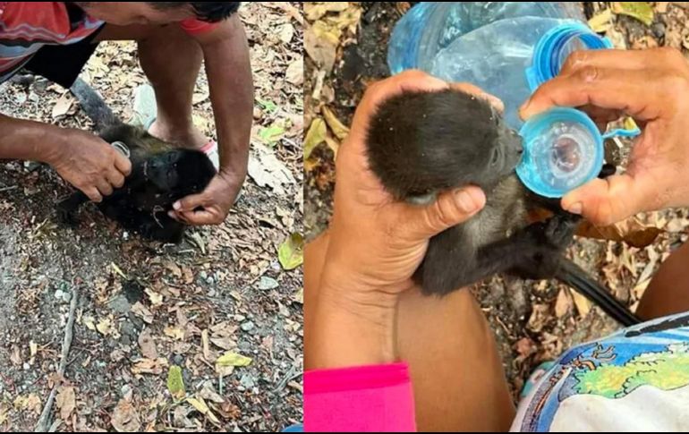 El periodista Ernesto Méndez menciona en sus publicaciones, que la situación se está desbordando, sobre todo del lado de Tabasco. ESPECIAL / X / E. MÉNDEZ