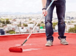 La Profeco advierte sobre la importancia de verificar la calidad del producto al momento de la compra. ESPECIAL