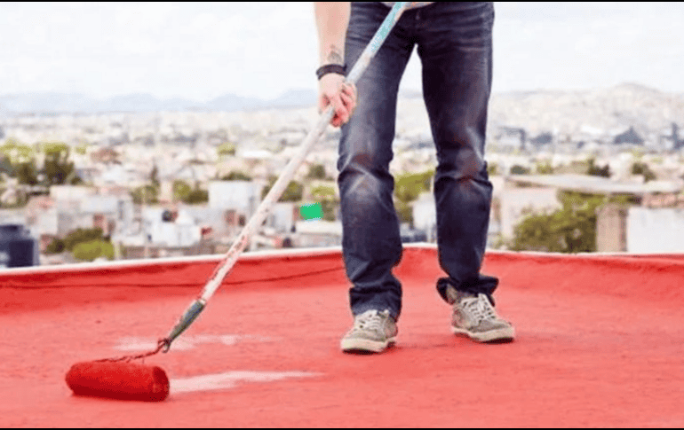 La Profeco advierte sobre la importancia de verificar la calidad del producto al momento de la compra. ESPECIAL