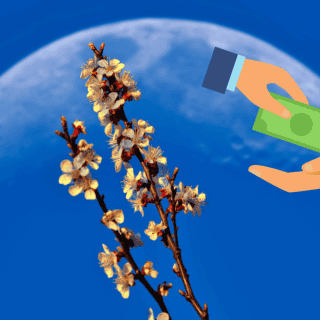 Luna de Flores: Estos signos recibirán suerte y fortuna hasta el 23 de mayo