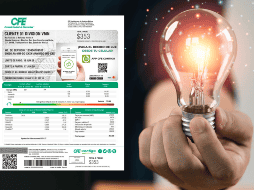 Para cancerlar el servicio, no es posible realizar el servicio en línea CFE INFORMADOR