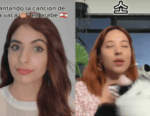 El éxito de “La Vaca” fue rotundo en los 2000's, cuando se convirtió en uno de los himnos de las fiestas; ahora, se hizo viral en TikTok. TIKTOK