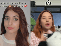 El éxito de “La Vaca” fue rotundo en los 2000's, cuando se convirtió en uno de los himnos de las fiestas; ahora, se hizo viral en TikTok. TIKTOK