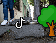 El aumento en la temperatura de México ha impulsado este trend que se ha hecho viral en TikTok. EL INFORMADOR / ARCHIVO