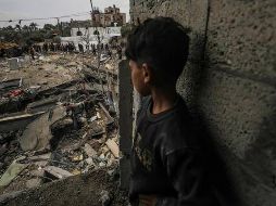 España reconocerá al Estado palestino el 28 de mayo. EFE / ARCHIVO