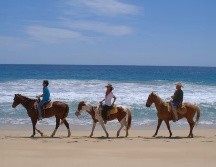 Los Cabos. CORTESÍA/ The Cape