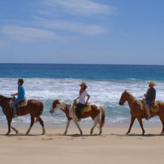 Los Cabos: una guía imperdible para visitar la joya del Mar de Cortés