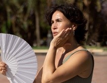 El Gobierno mexicano previó al menos cinco ondas de calor entre marzo y julio, el 16 de abril pasado. Freepick