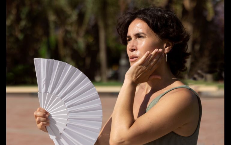 El Gobierno mexicano previó al menos cinco ondas de calor entre marzo y julio, el 16 de abril pasado. Freepick