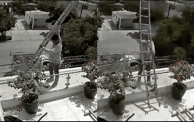 El técnico de nombre Francisco 