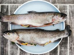 No existen indicios sobre efectos beneficios del consumo de estos ácidos grasos en casos de fibrilación cerebrovascular. Unsplash.