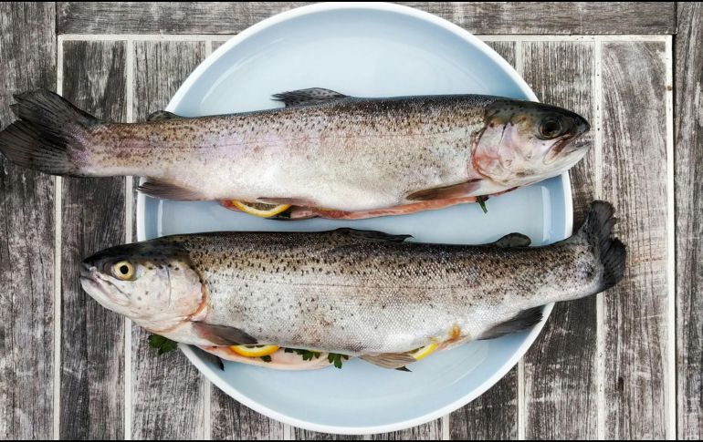 No existen indicios sobre efectos beneficios del consumo de estos ácidos grasos en casos de fibrilación cerebrovascular. Unsplash.