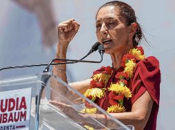 Expuso que habrá en su proyecto una partida especial para la investigación sobre este recurso que se explota para baterias. EL UNIVERSAL