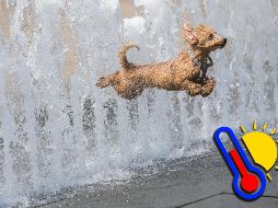 El fin de semana se esperan altas temperaturas que en regiones como Jalisco, donde se podrían alcanzar hasta los 45 °C en algunas zonas. EFE / ARCHIVO