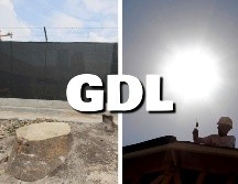 Los árboles nuevos, colocados como medida de compensación por obras, no prestan los mismos servicios ambientales y el calor continúa. SUN / AP / ARCHIVO